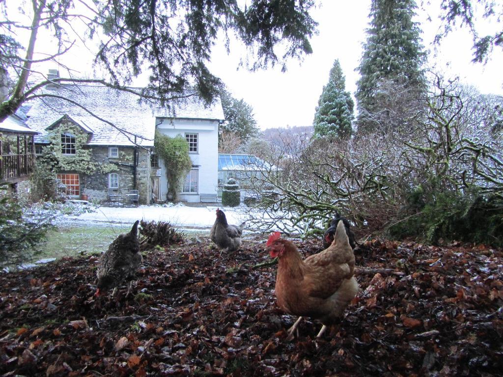 Walker Ground Manor Bed & Breakfast Hawkshead Exterior photo